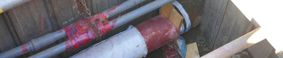 無事に到達しました！